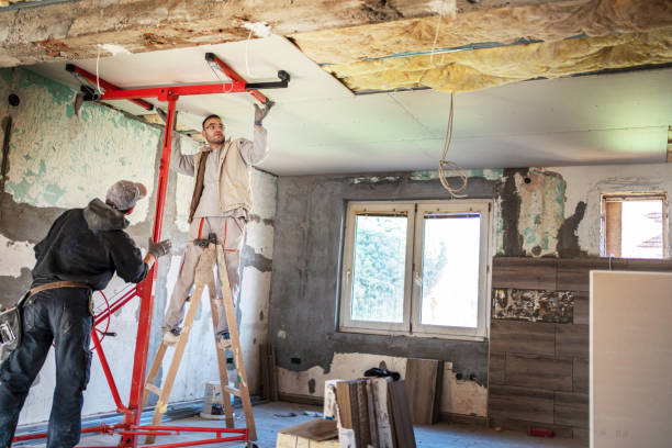 Best Insulation for Commercial Buildings  in San Carlos, TX