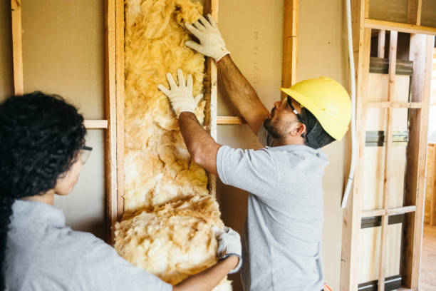 Best Wall Insulation Contractor  in San Carlos, TX
