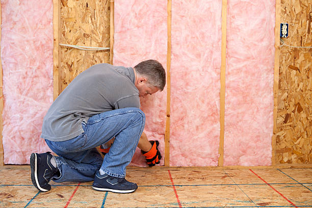 Best Insulation Inspection Services  in San Carlos, TX