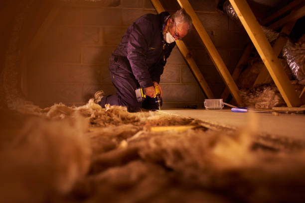 Best Fiberglass Insulation  in San Carlos, TX