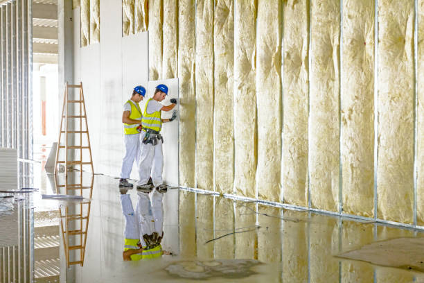 Best Soundproof Insulation Installation  in San Carlos, TX